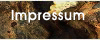 Impressum